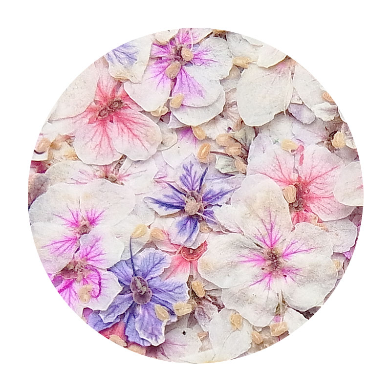 新品★ ネイルドライフラワー ボックス入り ドライフラワー デコレーション ドライフラワーBOXアレンジ】 | flowershop KAIKA