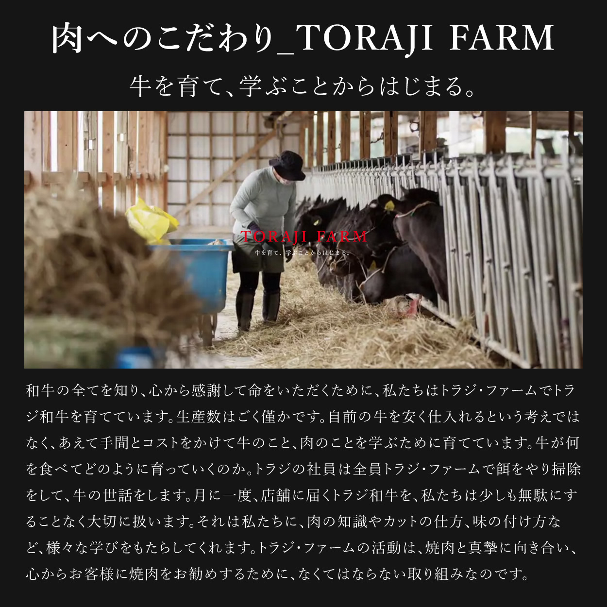 肉へのこだわり_TORAJI FARM