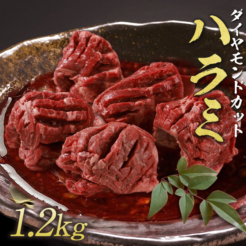 送料無料 訳あり 焼肉 ハラミ ダイヤモンドcutハラミ 1.2kg BBQ バーベキュー 肉 お取り寄せ 大容量 数量限定 :ys02:トラジ  オンラインストアヤフー店 - 通販 - Yahoo!ショッピング