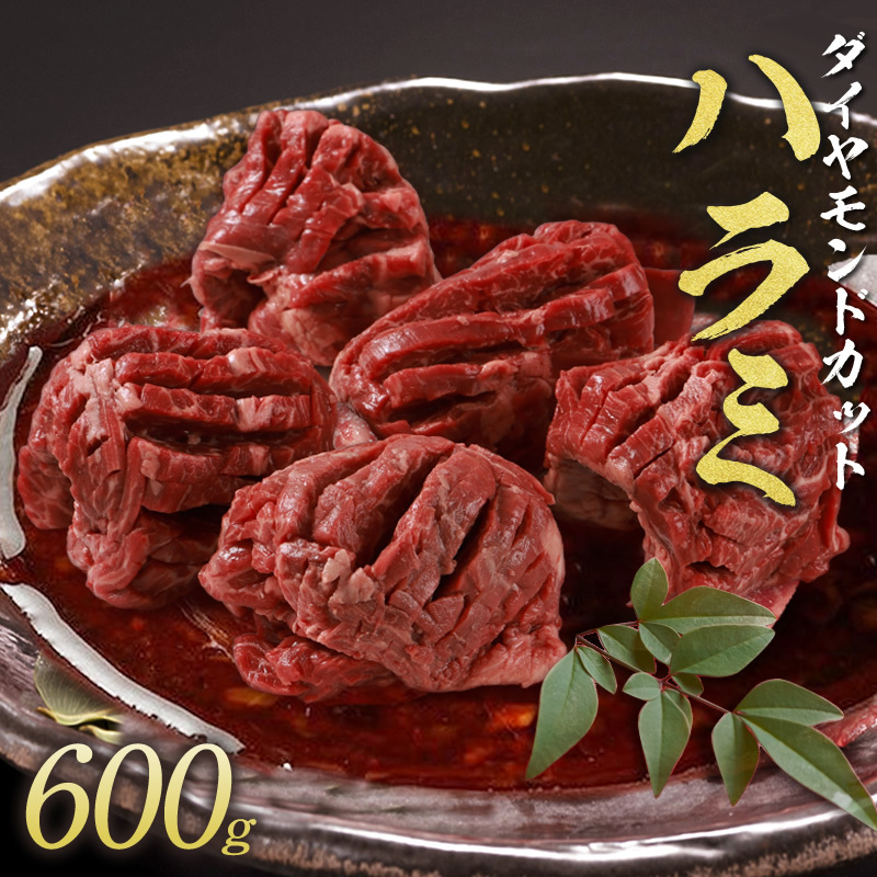 送料無料 訳あり 焼肉 牛肉 ハラミ ダイヤモンドcutハラミ 600g BBQ バーベキュー 肉 お取り寄せ 2~3人前 :ys02half:トラジ  オンラインストアヤフー店 - 通販 - Yahoo!ショッピング