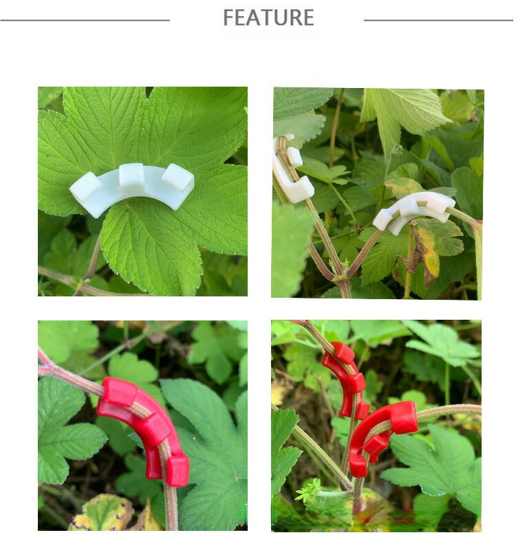 Amazon | 茎クリップ【5個入り】曲げクリップ 誘引クリップ 植物