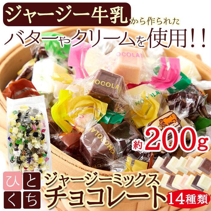 ジャージーミックス ひとくち チョコレート 200g 送料無料 ギフト 常温