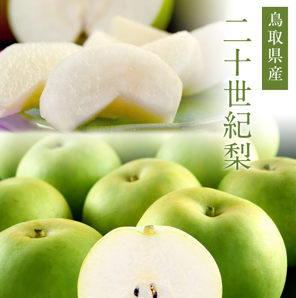梨 二十世紀梨（20世紀梨）5kg詰（16玉前後入） 鳥取県産 なし