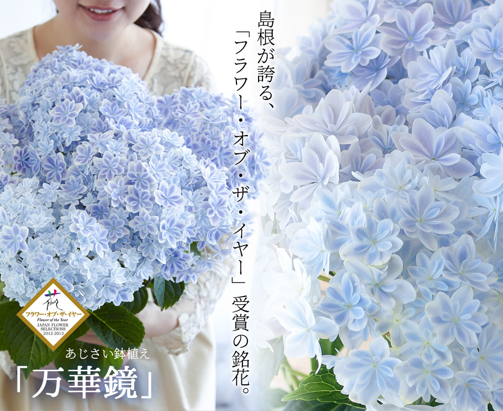 ginga201901.jpg