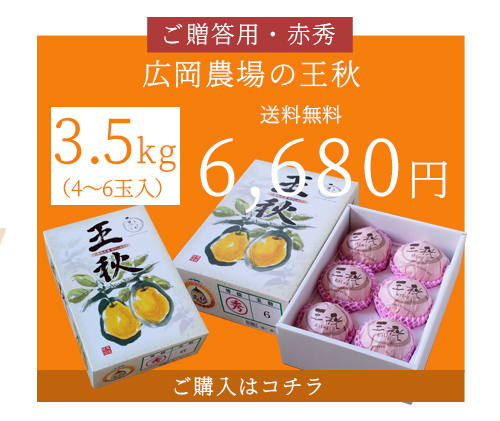 広岡農場の王秋梨（おうしゅうなし）3.5kg詰（4〜6玉入） 鳥取県
