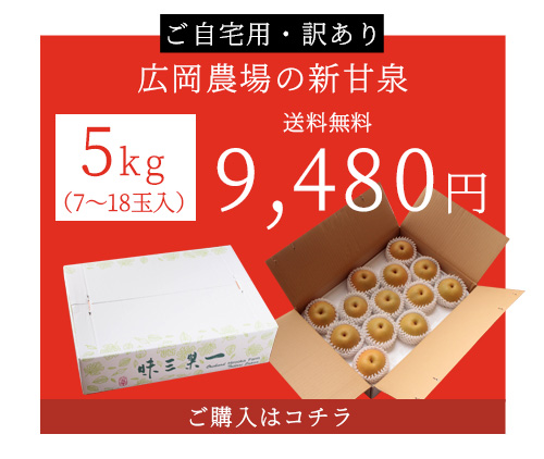 風味絶佳 梨 訳あり 広岡農場の新甘泉（しんかんせん） 5kg詰（7〜18玉