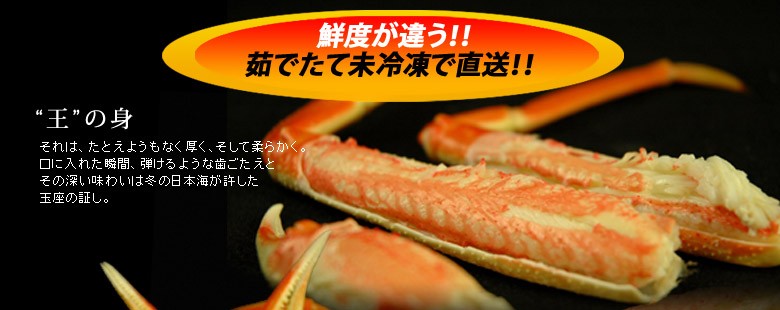 松葉がに（松葉ガニ）900g以上（特大サイズ）×2枚 日本海産 未冷凍 お歳暮ギフト 送料無料（北海道・沖縄を除く）