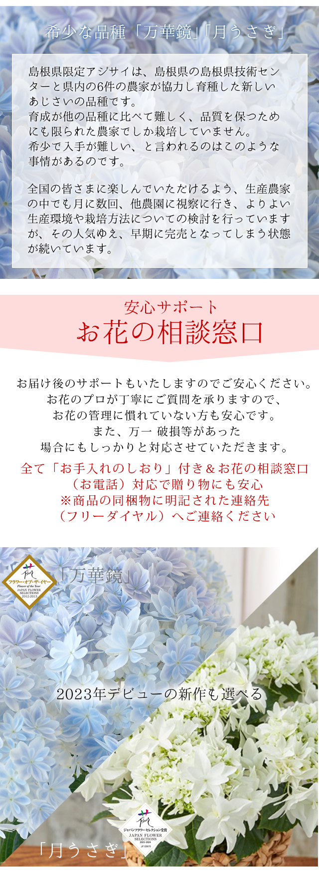 風味絶佳 母の日 ギフト プレゼント 花 2026アジサイ 40代 50代 60代