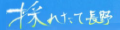 採れたて長野 ヤフー店