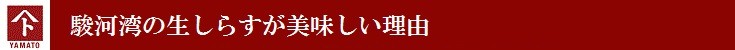 駿河湾の生しらすが美味しい理由