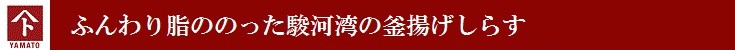 ふんわり脂ののった駿河湾の釜揚げしらす