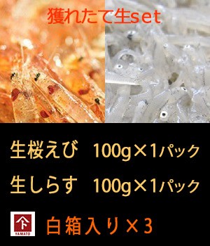 生 駿河湾桜えび 駿河湾しらす 3