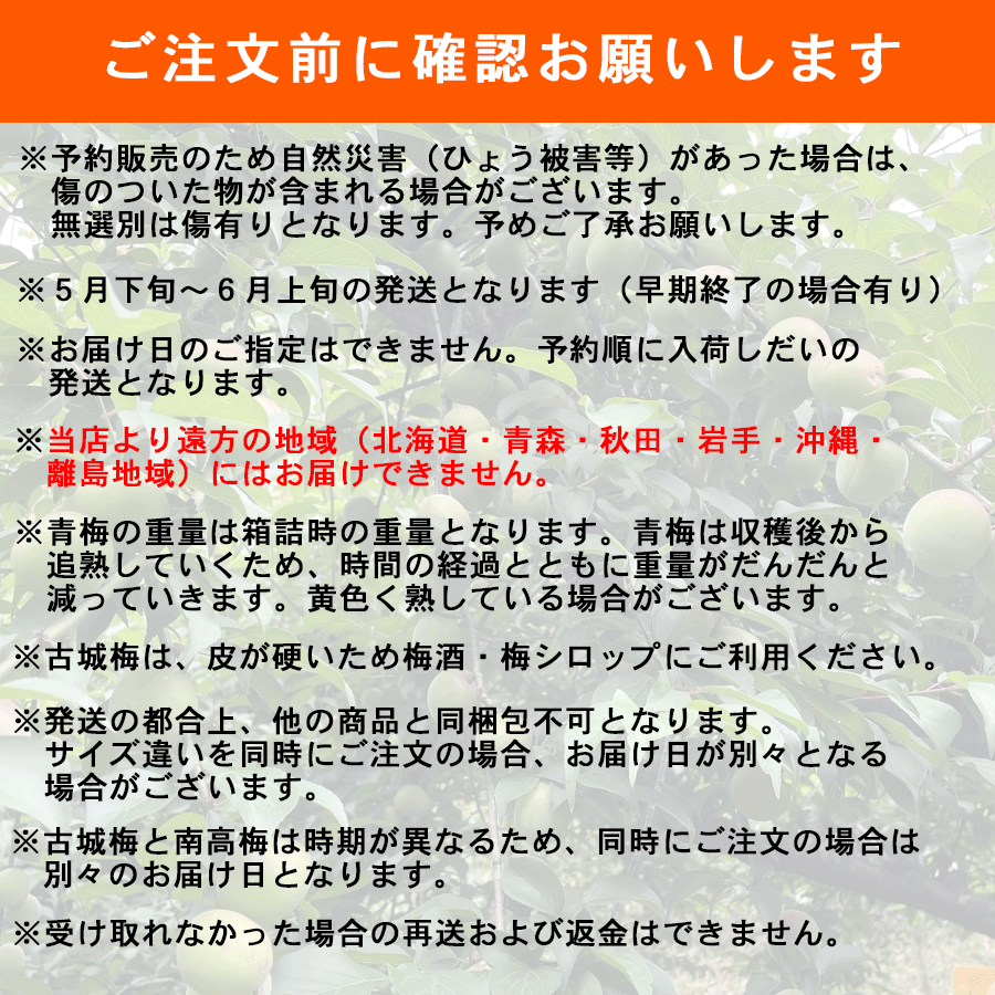 送料無料 予約販売 紀州産 古城梅 青梅 2Lサイズ 約10kg 梅酒・梅
