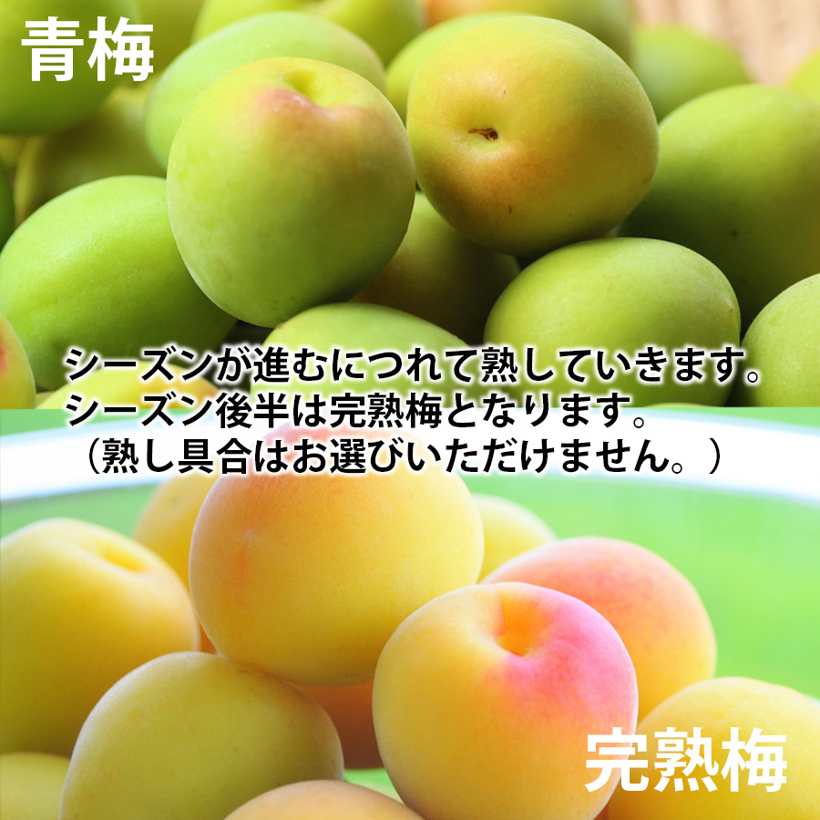 秀品 紀州みなべ産 南高梅 青梅 3〜4Lサイズ 約10kg ご家庭用、梅干