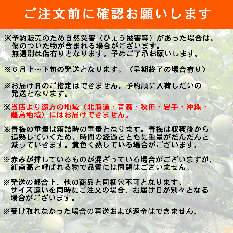 送料無料 予約販売 紀州産 南高梅 青梅 2Lサイズ 約10kg 梅干・梅酒