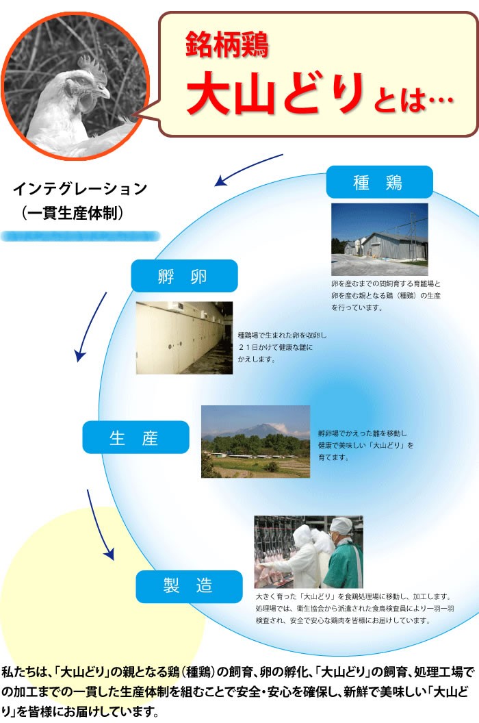 大山どり もも肉 500g×2パック 国産 鶏肉 鳥肉 柔らかくジューシーな味 人気の鶏もも 唐揚げに最適 :10006332:マーちゃんマート -  通販 - Yahoo!ショッピング