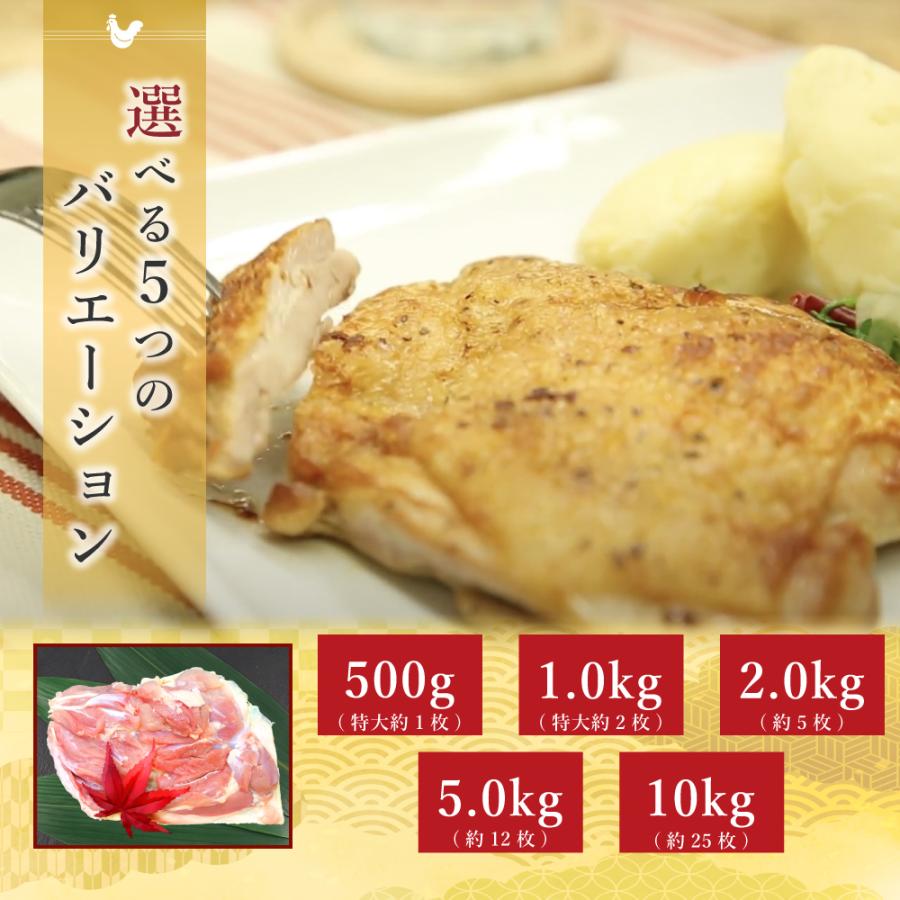 阿波尾鶏  鶏もも肉 1kg 徳島 地鶏 肉 鶏肉 ギフト 贈答 送料無料