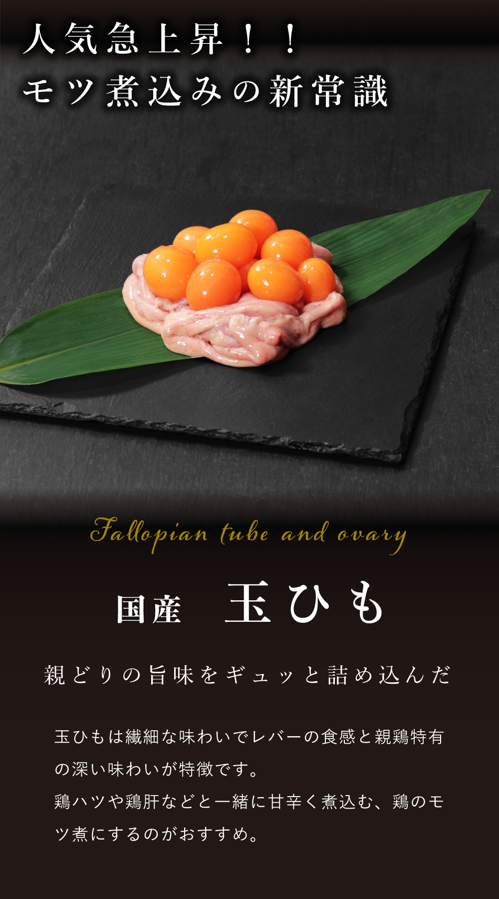 鶏肉 国産 ホルモン 焼き鳥 鶏もつ 鳥もつ おつまみ 取り寄せ 玉子 玉