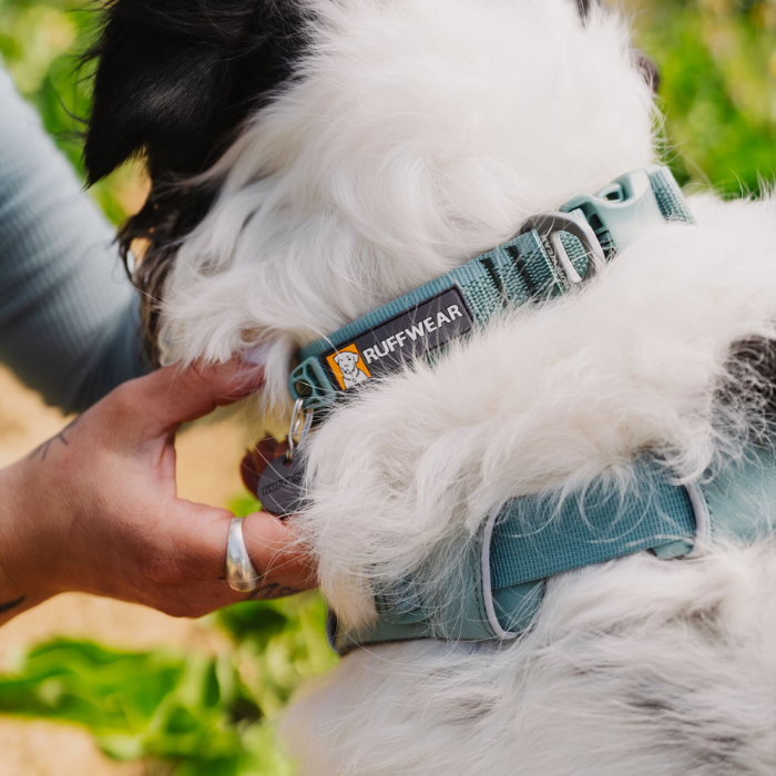 ラフウェア フロントレンジカラー 小型犬用 中型犬用 S-Mサイズ