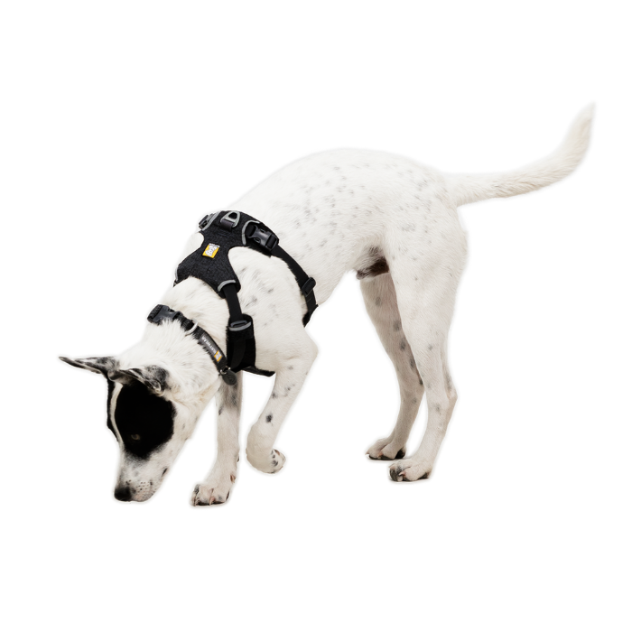 ラフウェア フロントレンジフレックスハーネス 小型犬用 中型犬用 大型