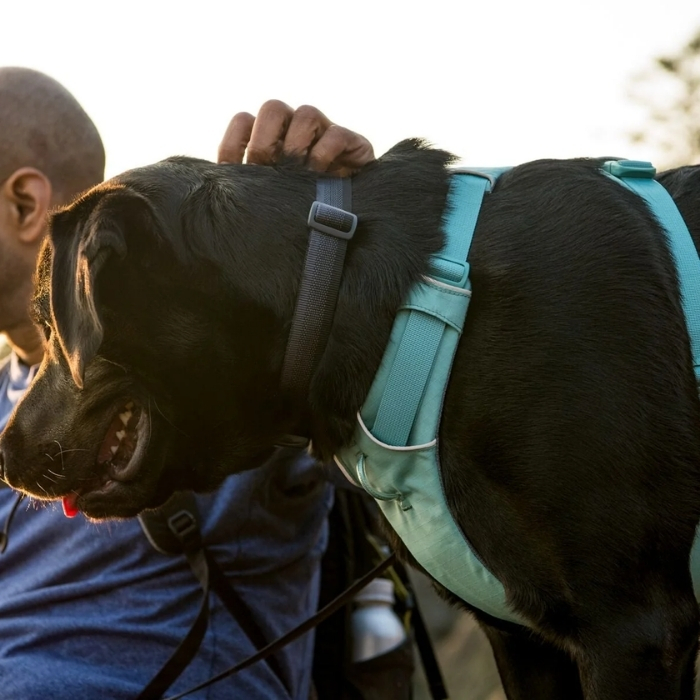 ラフウェア 認定取扱店 犬ハーネス小型犬中型犬大型犬 犬ハーネス
