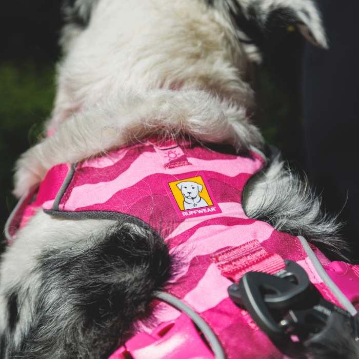 ラフウェア フロントレンジハーネス 小型犬用 中型犬用 大型犬用 XXS