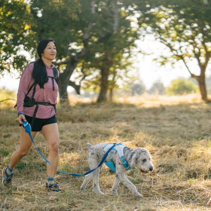 ラフウェア スワンプクーラーハーネス 小型犬用 中型犬用 大型犬用 XS