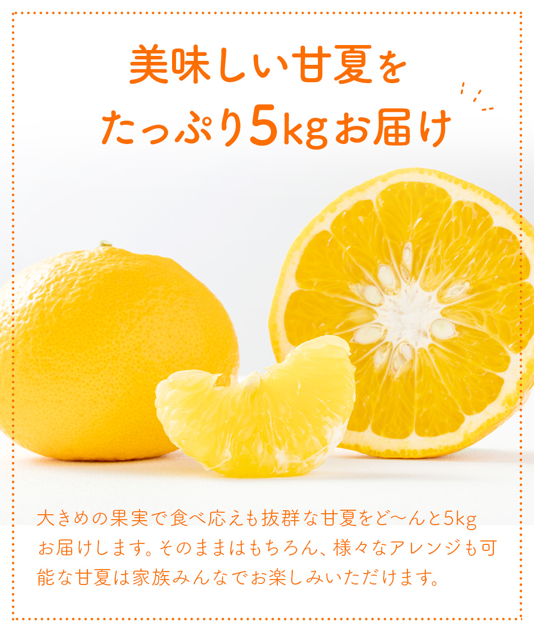 訳あり甘夏 5kg みかん 訳アリ 愛媛みかん 愛媛県産 ミカン スイーツ