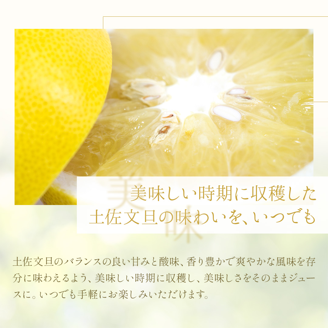 土佐文旦のおすすめ人気商品一覧 通販 - Yahoo!ショッピング
