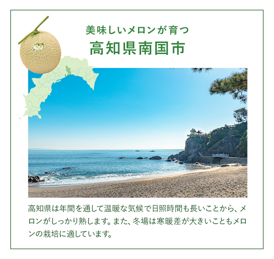 高級 マスクメロン 2玉 約 3kg【 ご家庭用 】【 送料無料 】※但し