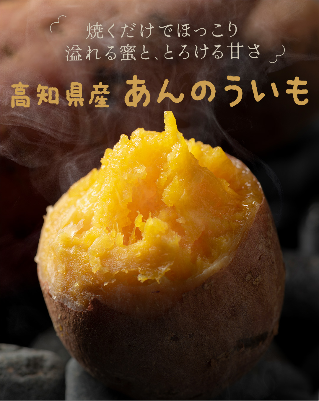 訳あり 高知県産 あんのういも 約1.5kg 2箱購入で 送料無料 3箱購入で