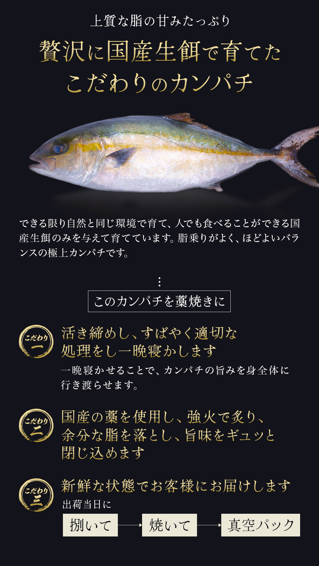 土佐 藁焼き カンパチ 勘八 たたき セット 冷凍 かんぱち 1節 魚 刺身