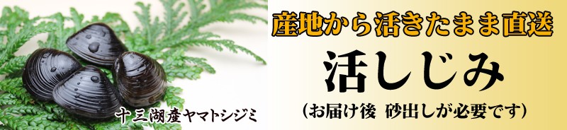 タイトル画像