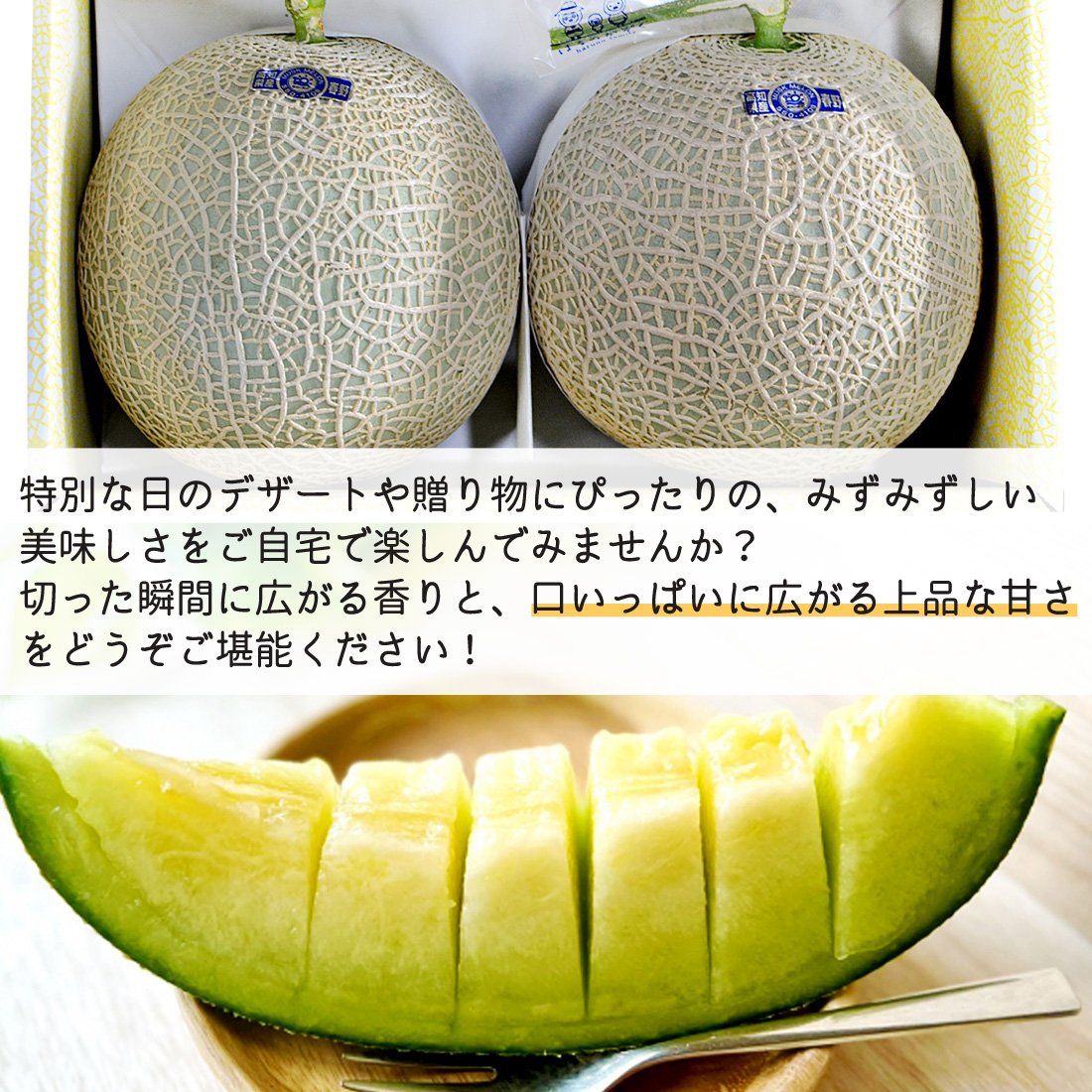 高知　赤肉　高級アールスメロンA5玉　隔離栽培 高知 赤肉 高級アールスメロンA5玉 隔離栽培