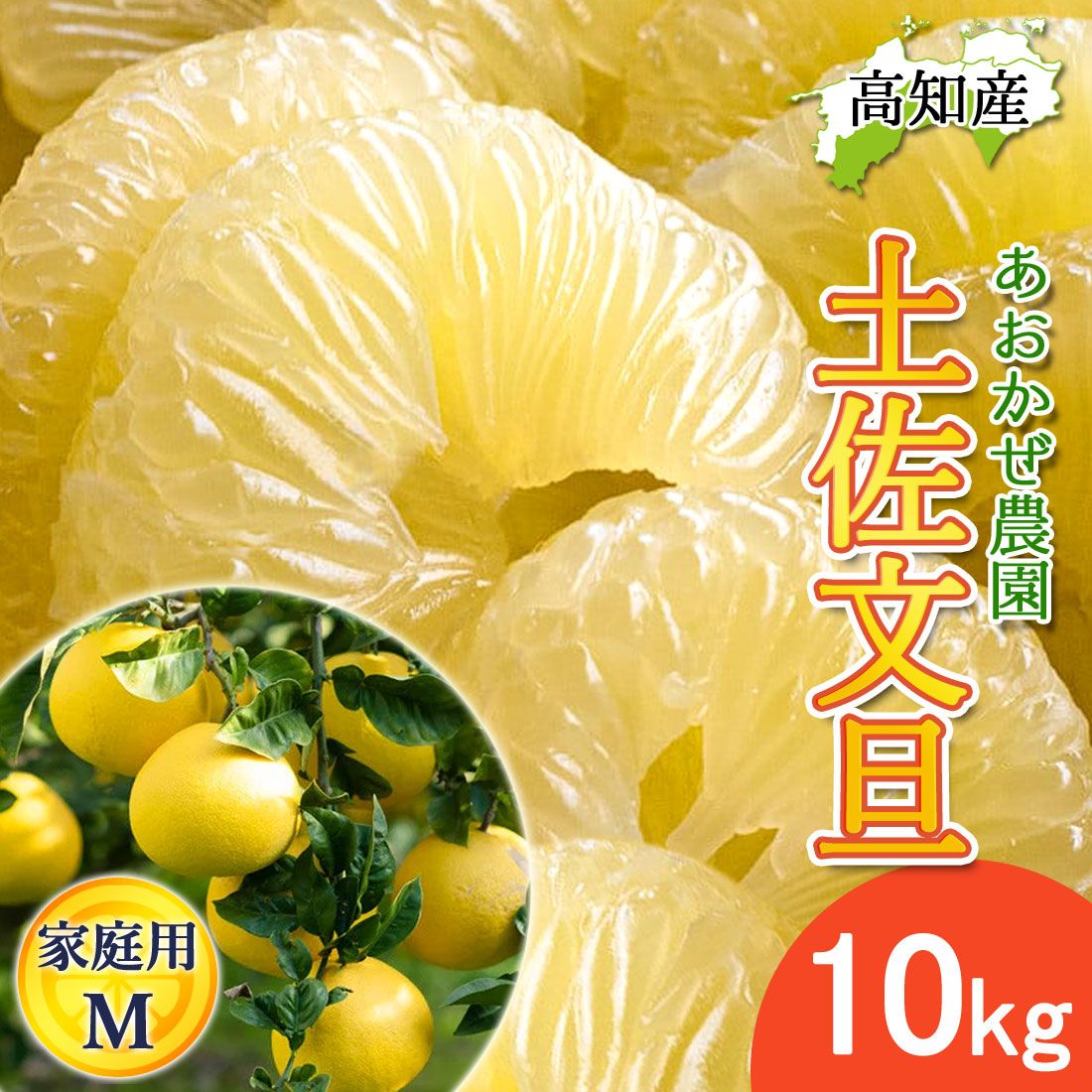文旦 土佐文旦 家庭用 小 Mサイズ 27〜32玉 10kg 宿毛文旦 産直 あお