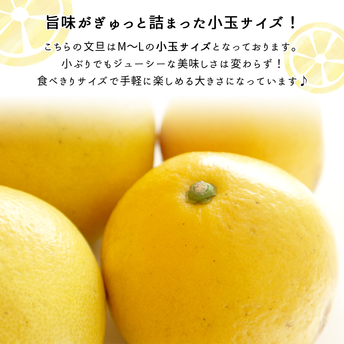 文旦 土佐文旦 小 家庭用 5kg M〜Lサイズ ハッピーフルーツ果樹園 宿毛