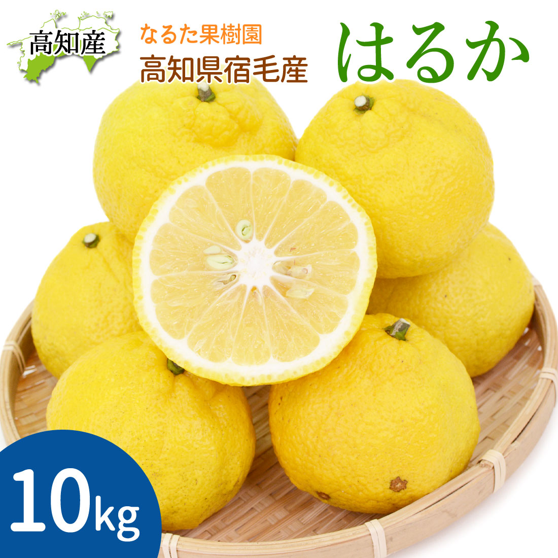 甘くて美味しい はるか 10kg 家庭用 50〜70玉 M〜2L 成田果樹園 10キロ