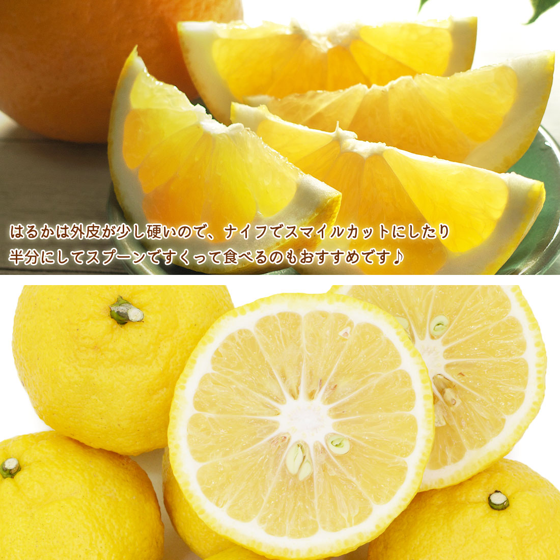 はるか　甘くて美味し20Kg 5e70241eff2108976865325dea1e17