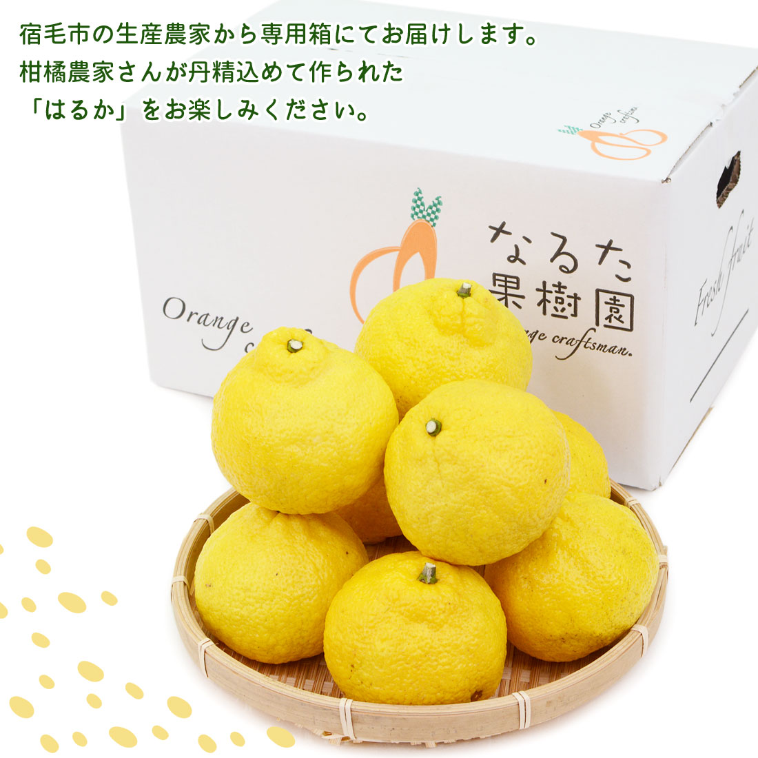 甘くて美味しい はるか 10kg 家庭用 50〜70玉 M〜2L 成田果樹園 10キロ