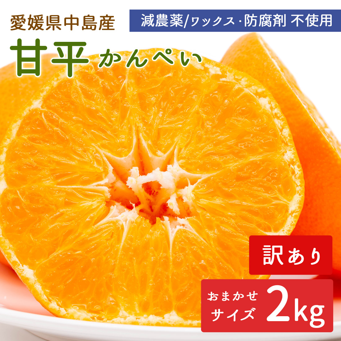 甘平　訳あり9.9kg 箱込み yp2-fft-ka-2.jpg