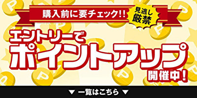 北海道産 乾燥なまこ 1KG入 C級品 干しなまこ 干しナマコ 乾燥ナマコ