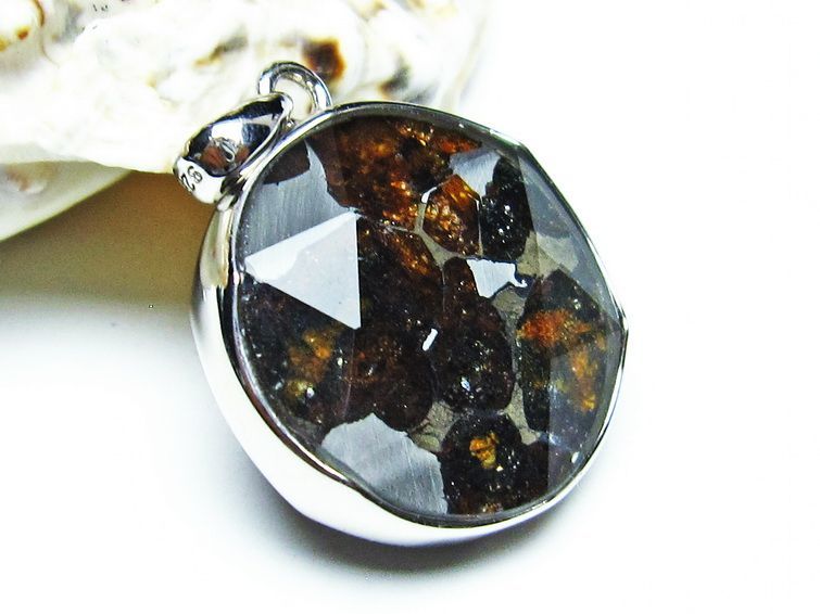 ѥ饵 ڥ ѥȡ ڥȥȥå Pallasite Meteorite  ǥ ꡼  ʪ  112-8959