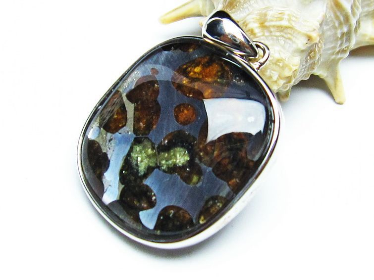 ѥ饵 ڥ ѥȡ ڥȥȥå Pallasite Meteorite  ǥ ꡼ ʪ  112-9011