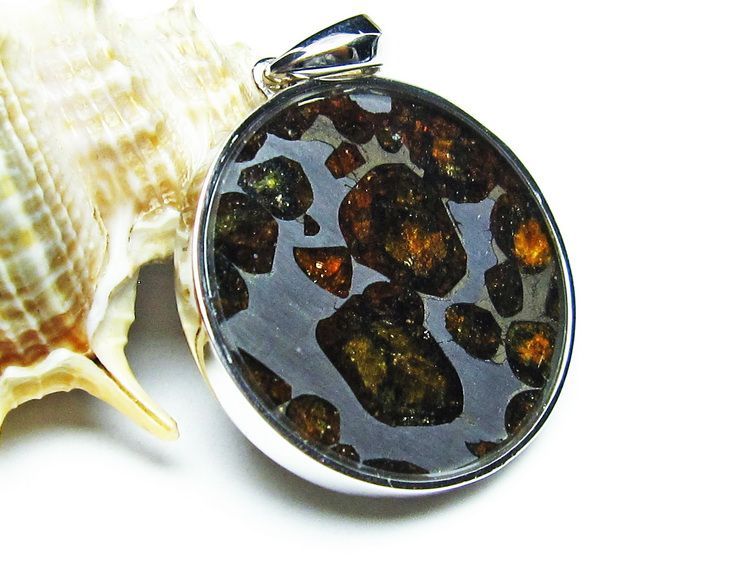 ѥ饵 ڥ ѥȡ ڥȥȥå Pallasite Meteorite  ǥ ꡼ ʪ  112-9260