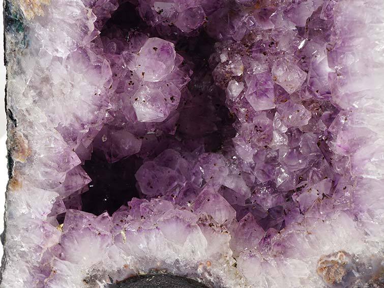 15.5Kg ᥸ ɡ ֥饸뻺 ᥸  Amethyst  ڡ ʪ  174-1158