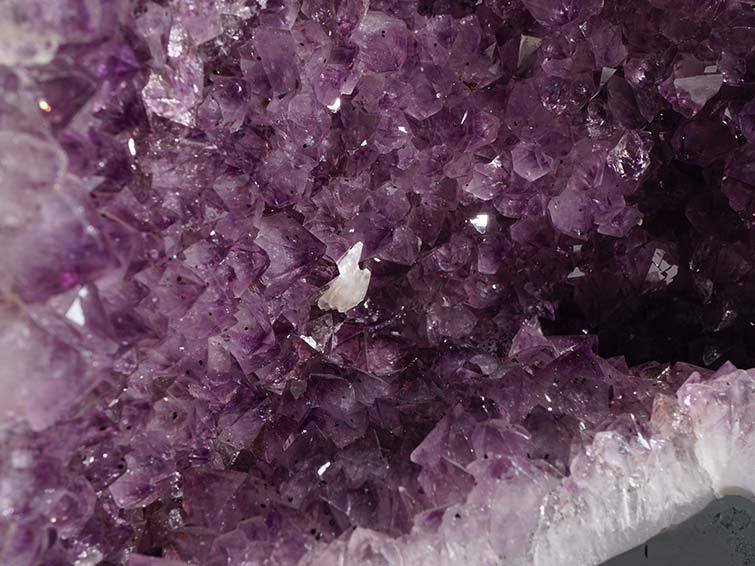 30.5Kg ᥸ ɡ ֥饸뻺 ᥸  Amethyst  ڡ ʪ  174-1205