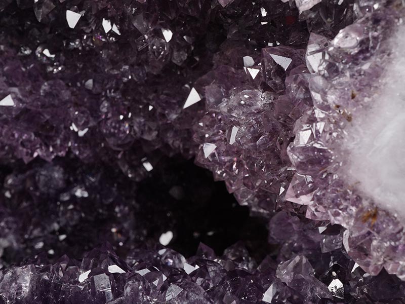 10Kg ᥸ȥɡ ֥饸뻺   ᥸ ɡ amethyst ʪ    ʪ 174-1456