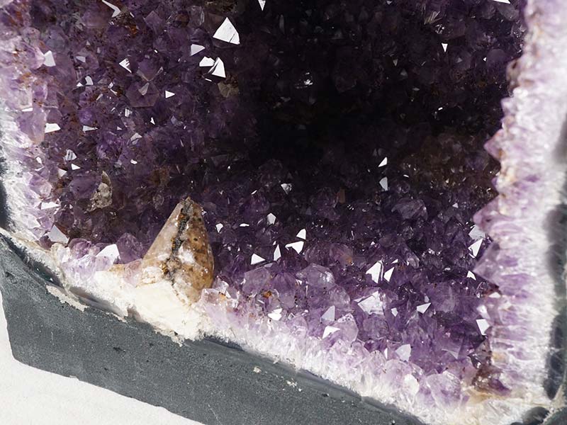 14.7Kg ᥸ȥɡ ֥饸뻺  ʪ amethyst ᥸ȥڡ ᥸ ɡ ʪ  174-1818