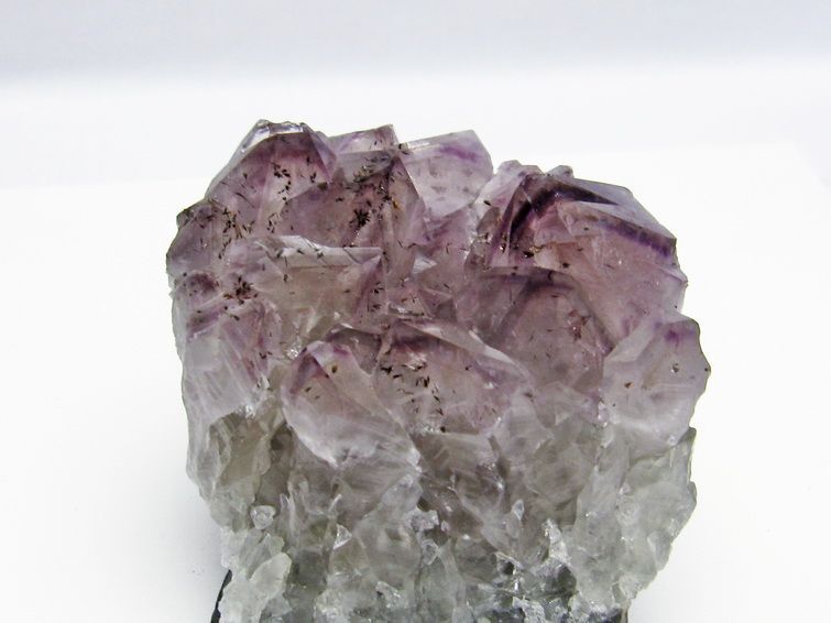 ᥸  Amethyst ᥸ 饹 685g  ֥饸뻺 ʪ եȥ 륯 ʪ 182-4021