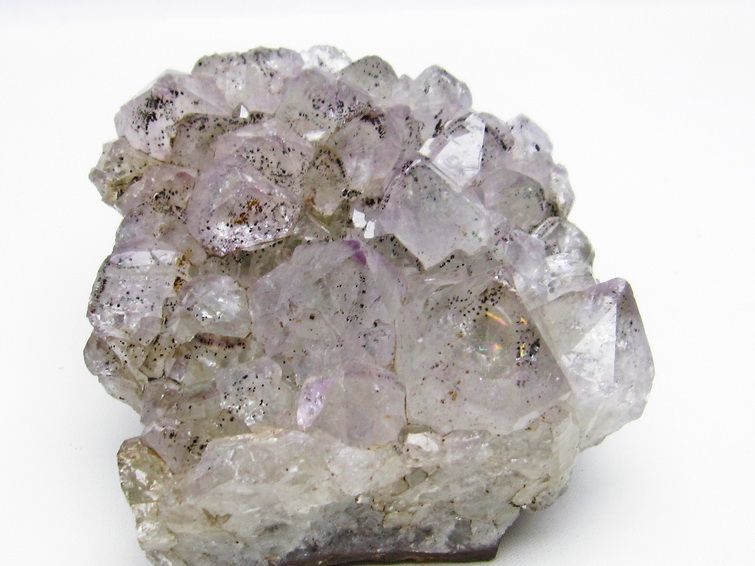 ᥸  Amethyst ᥸ 饹 552g  ֥饸뻺 ʪ եȥ 륯 ʪ 182-4052